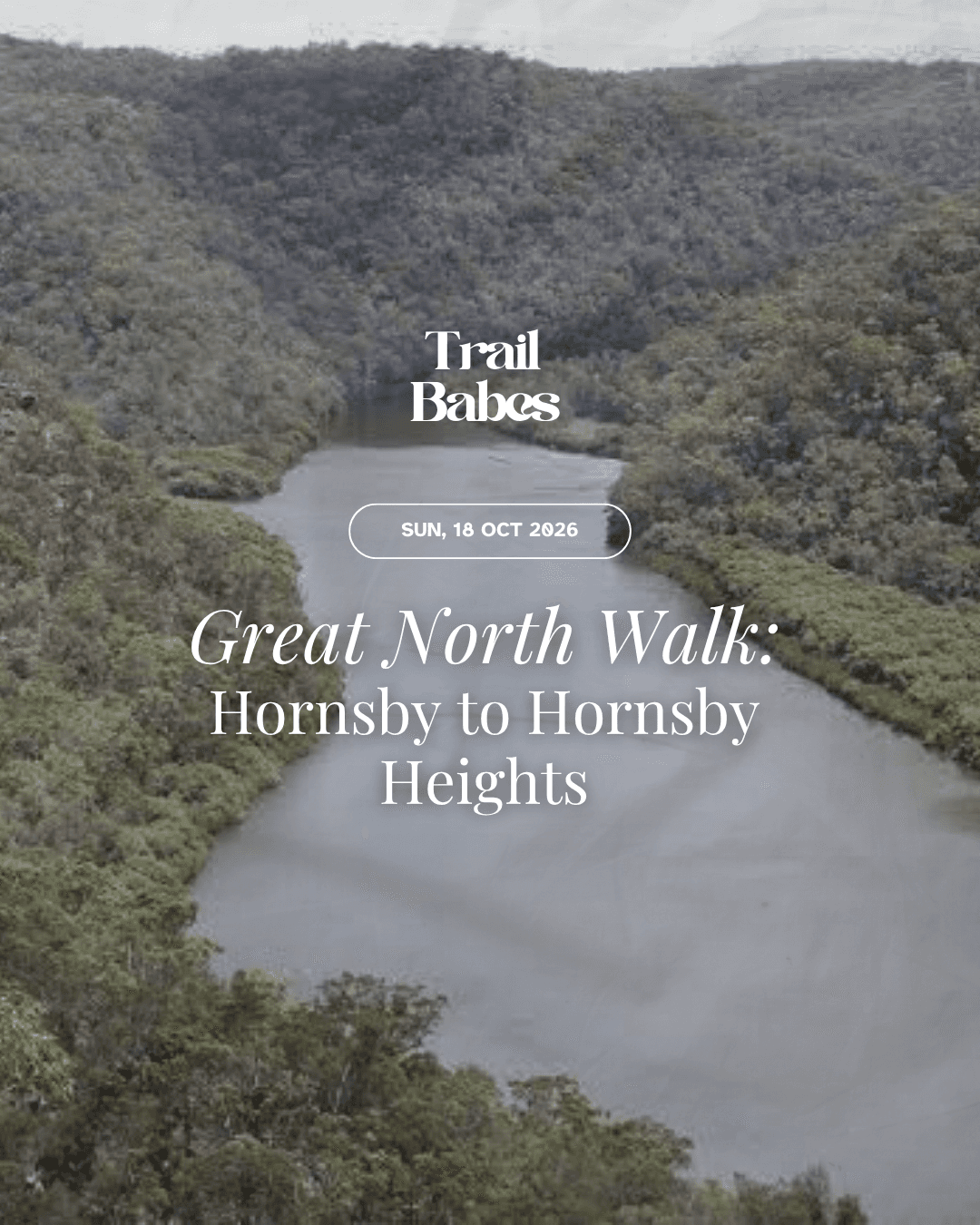 Great North Walk: Hornby to Hornsby Heights