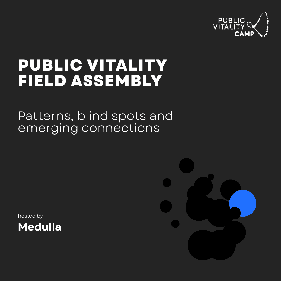 Public Vitality Field Assembly