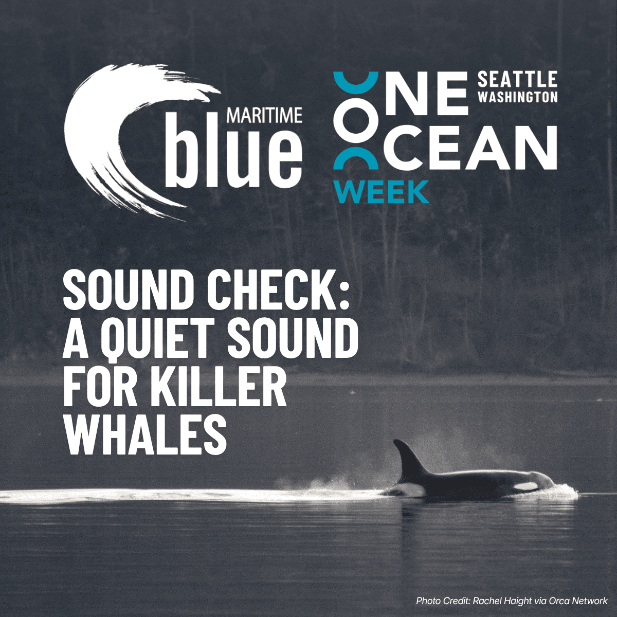 Sound Check: A Quiet Sound for Killer Whales