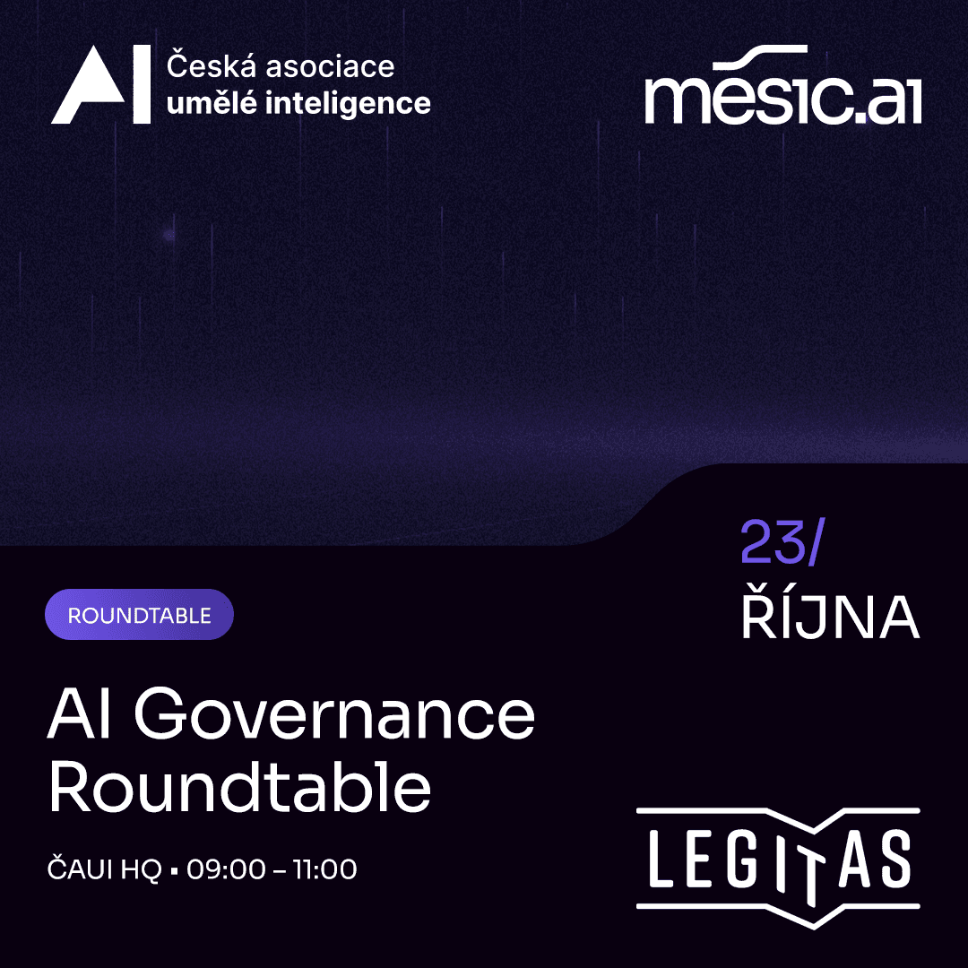 AI Governance Roundtable