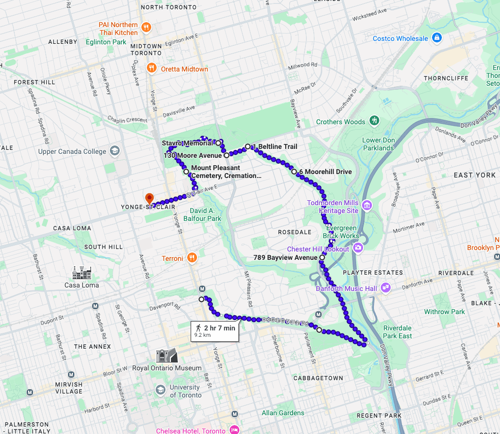 AI Walks YYZ - Urban Jungle