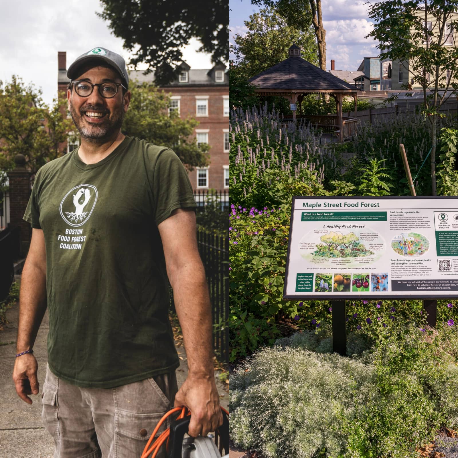 Join Orion in the Food Forest: transplanting and seedball making