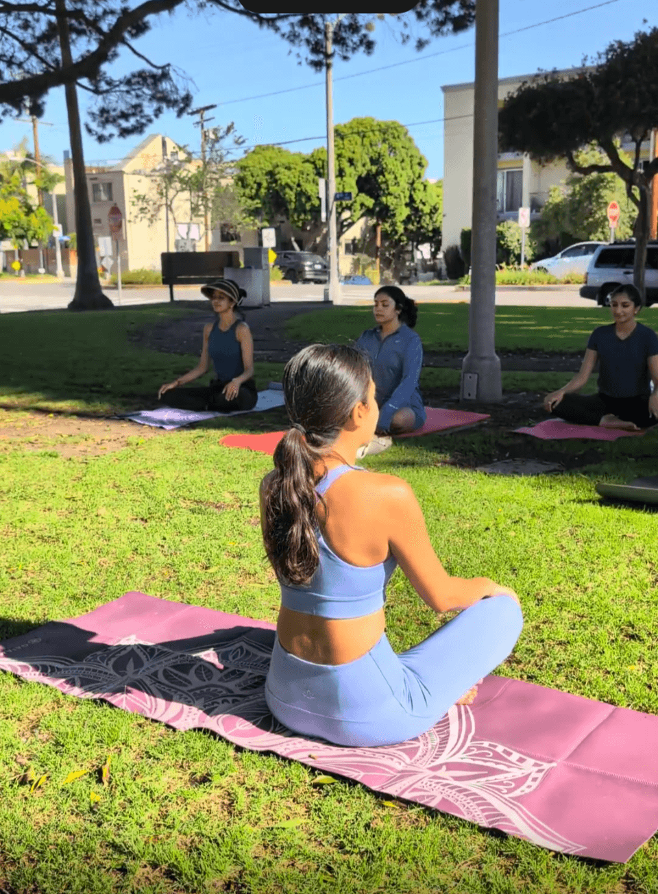 Prana in the Park - A Community Yoga Flow (9.0)
