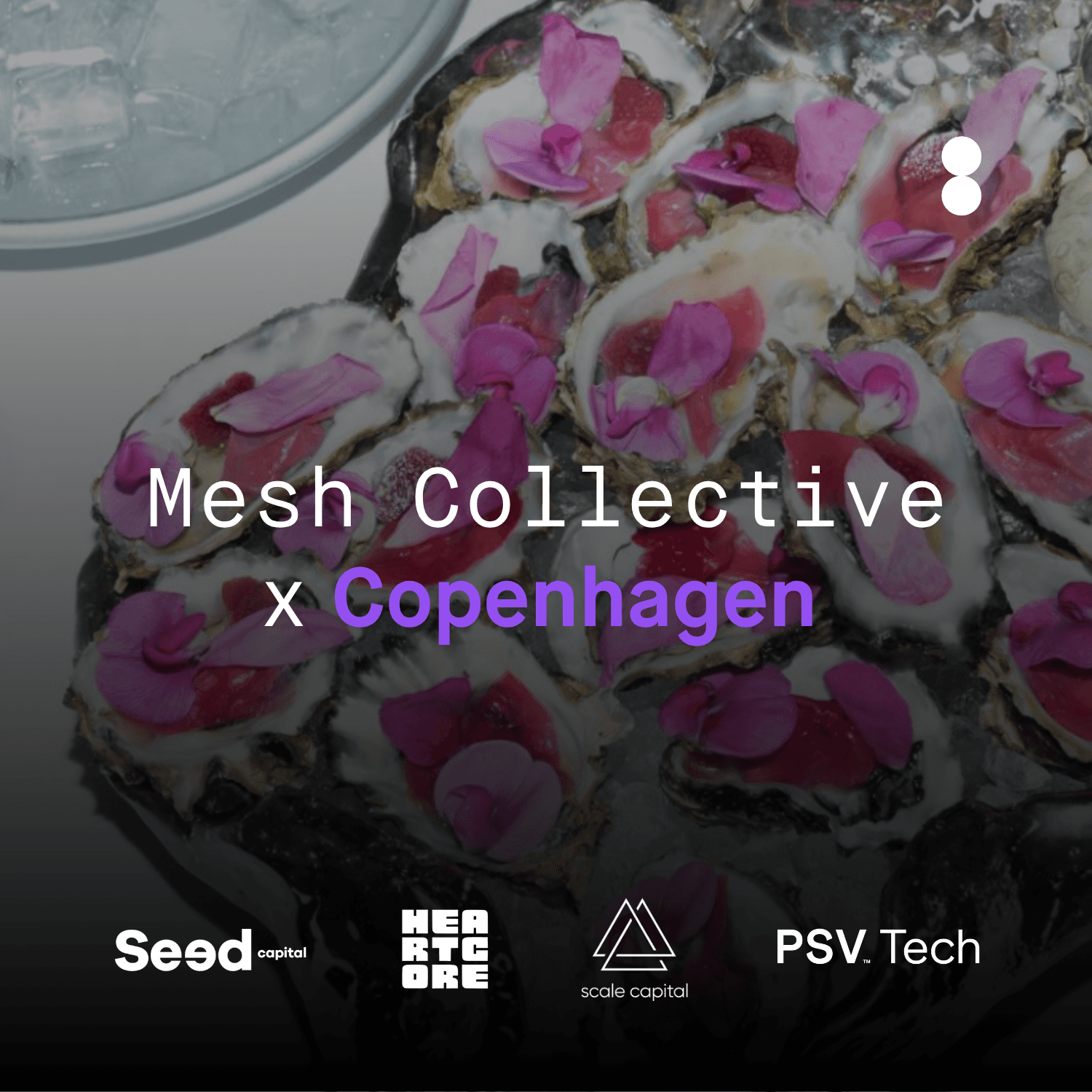 Mesh Collective X Copenhagen