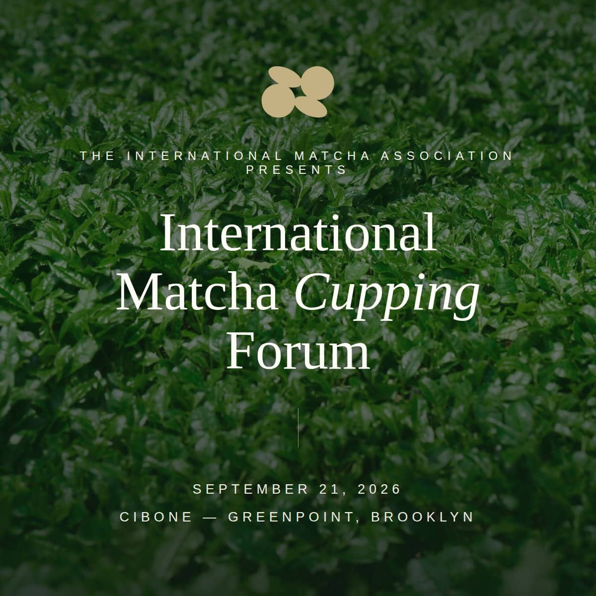 International Matcha Cupping Forum — Session Two (Open to the Public)