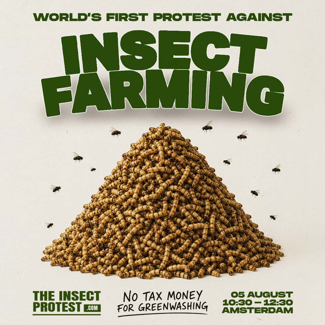 The world's first protest against insect farming