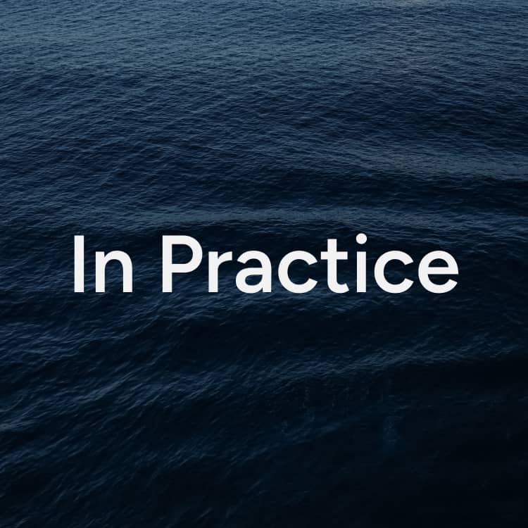 Software in Practice: Austin