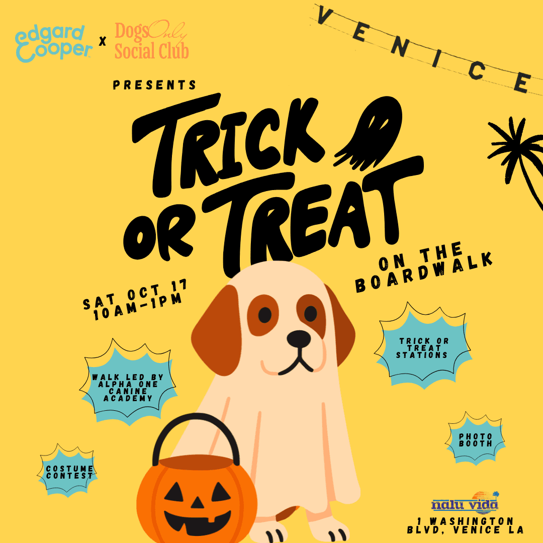 Trick or Treat on the Boardwalk π