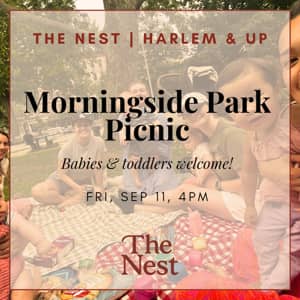 Morningside Park Picnic | The Nest Harlem & Up