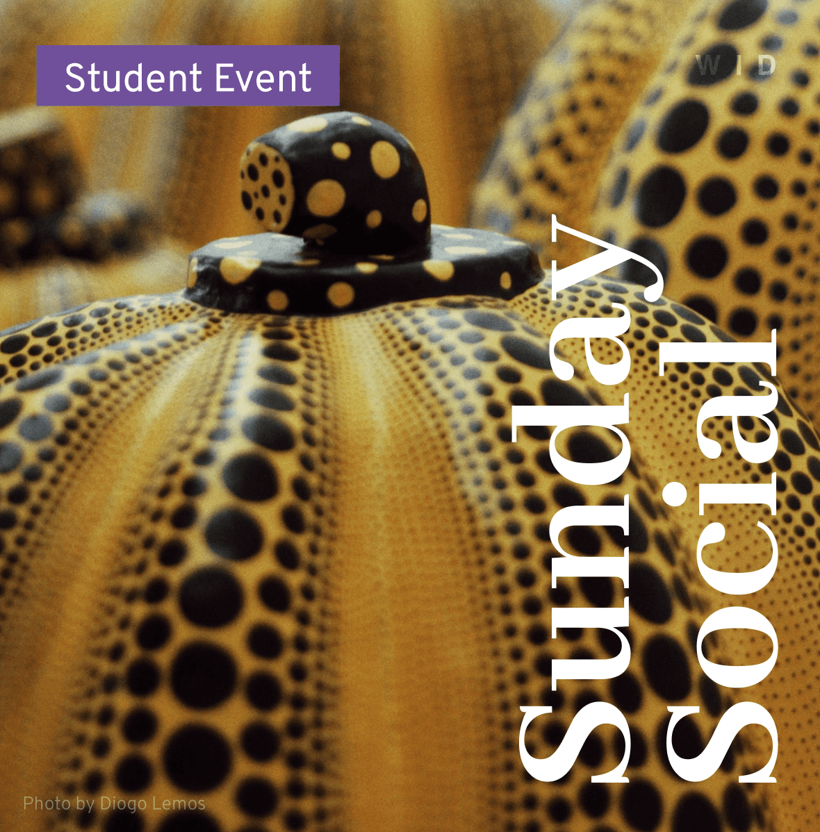 ๐๐ญ๐ฎ๐๐๐ง๐ญ ๐๐ฎ๐ง๐๐๐ฒ ๐๐จ๐๐ข๐๐ฅ with Women in Design NYC โ Pumpkin Painting and Connect!