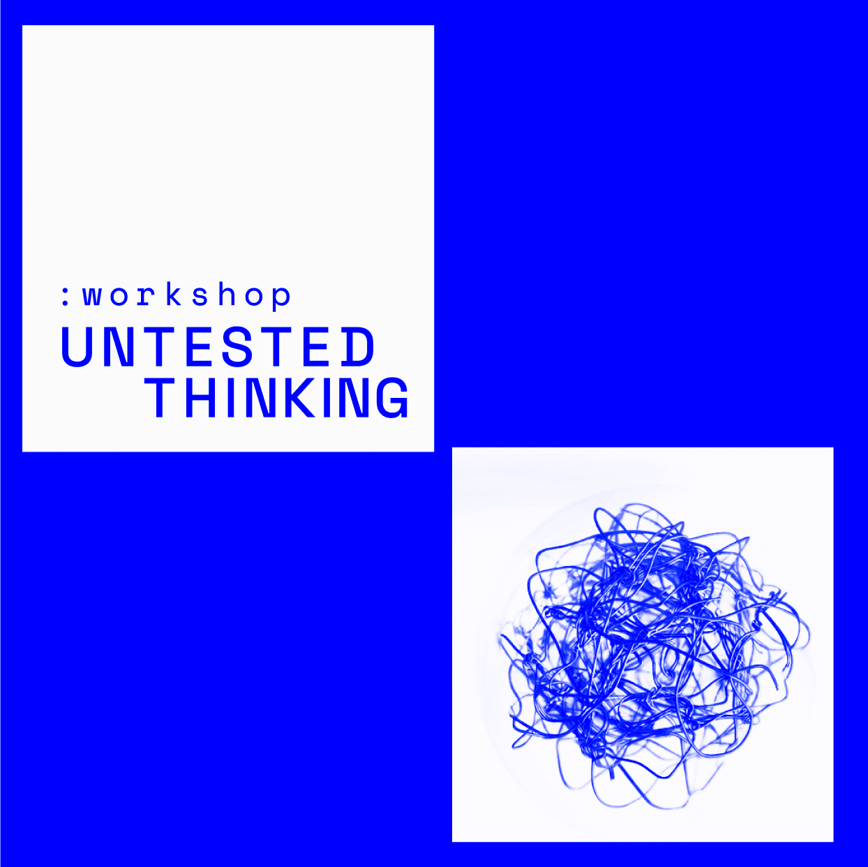 Untested Thinking: Half-formed ideas exposed to new perspectives.