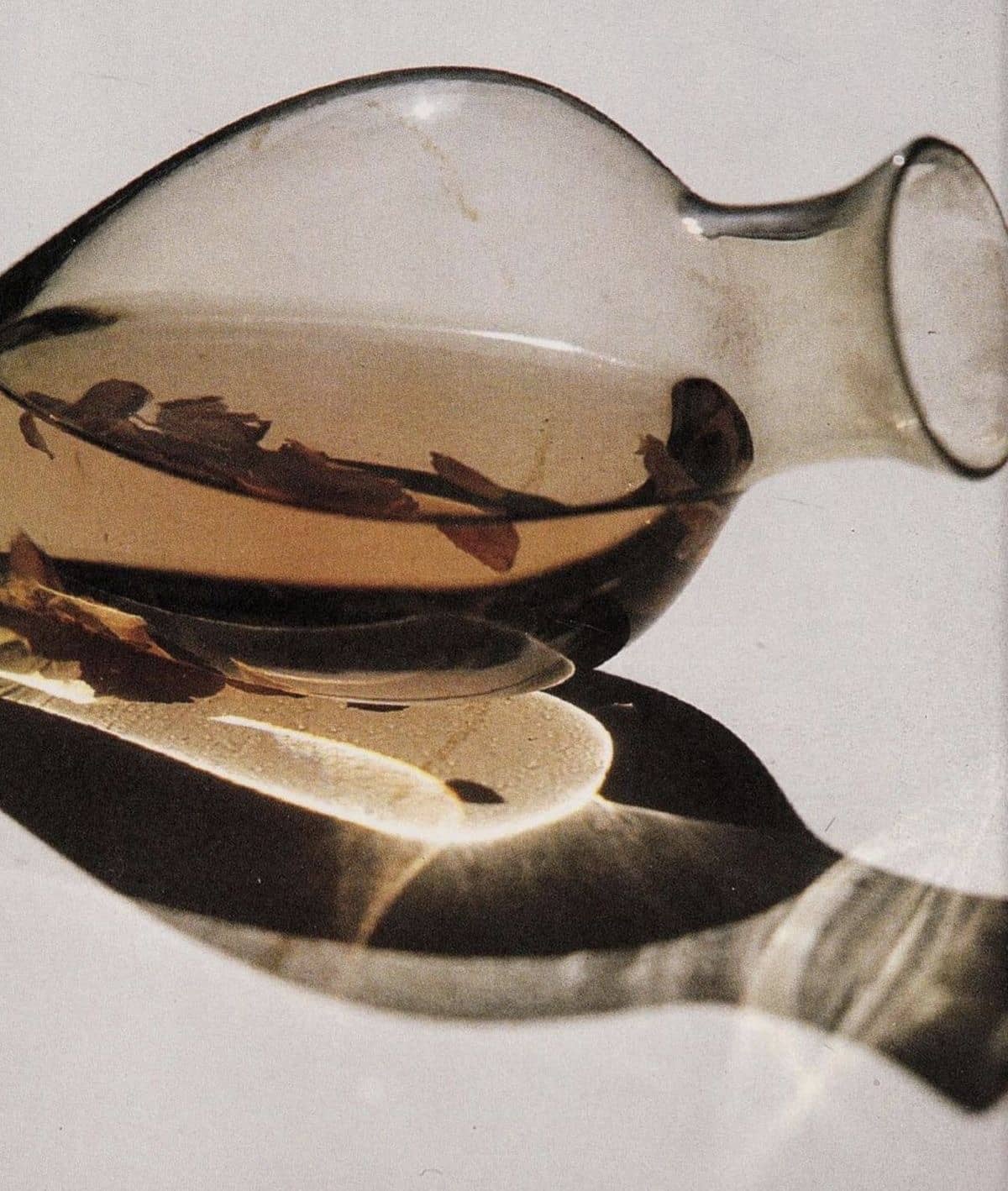 Dream Tea Ritual — A Silent Journey Into Dreamwork & Plant Wisdom