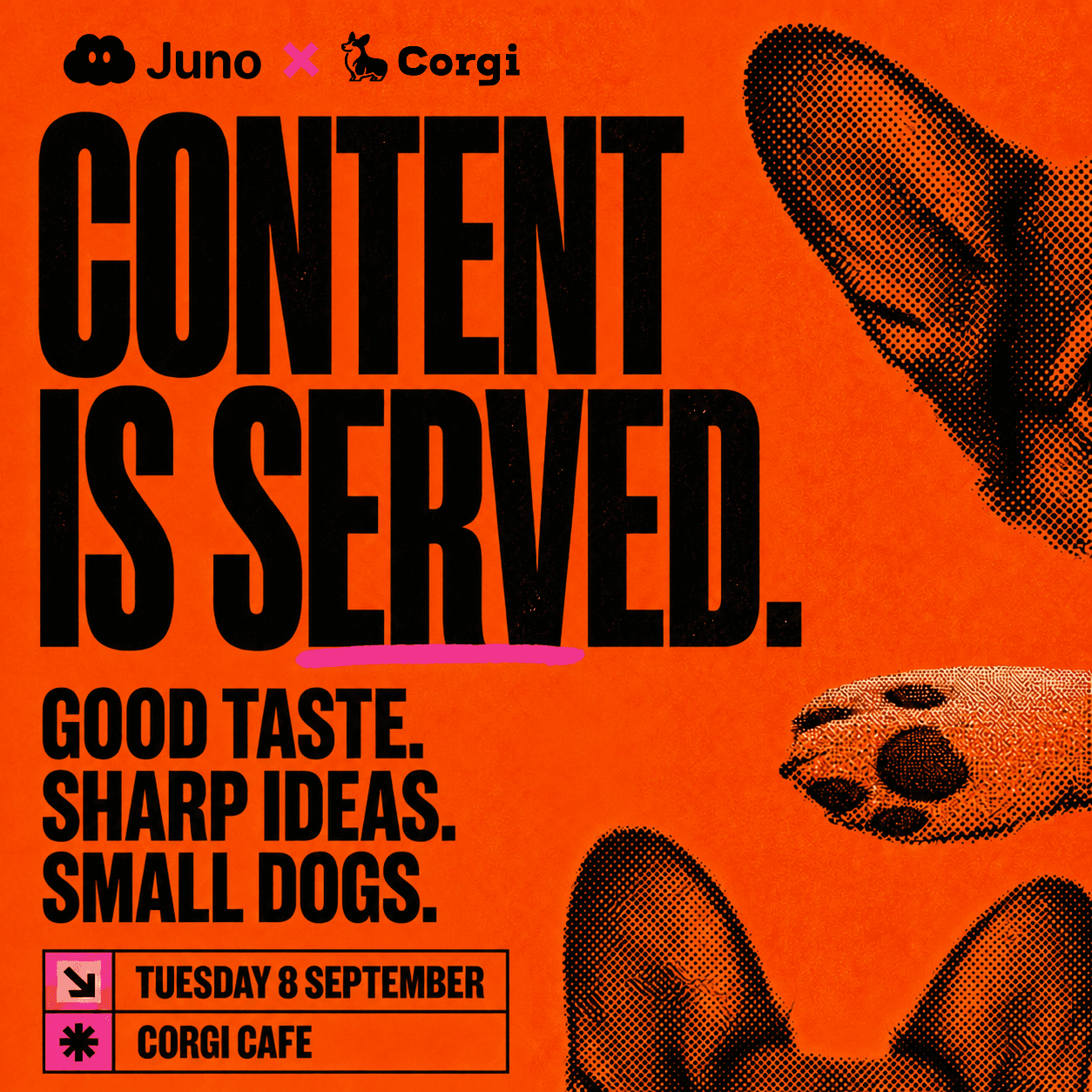 Juno x Corgi: Creator Brunch