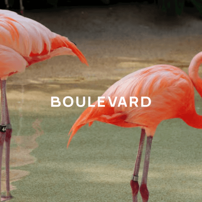 Boulevard Presents: Lumina Miami