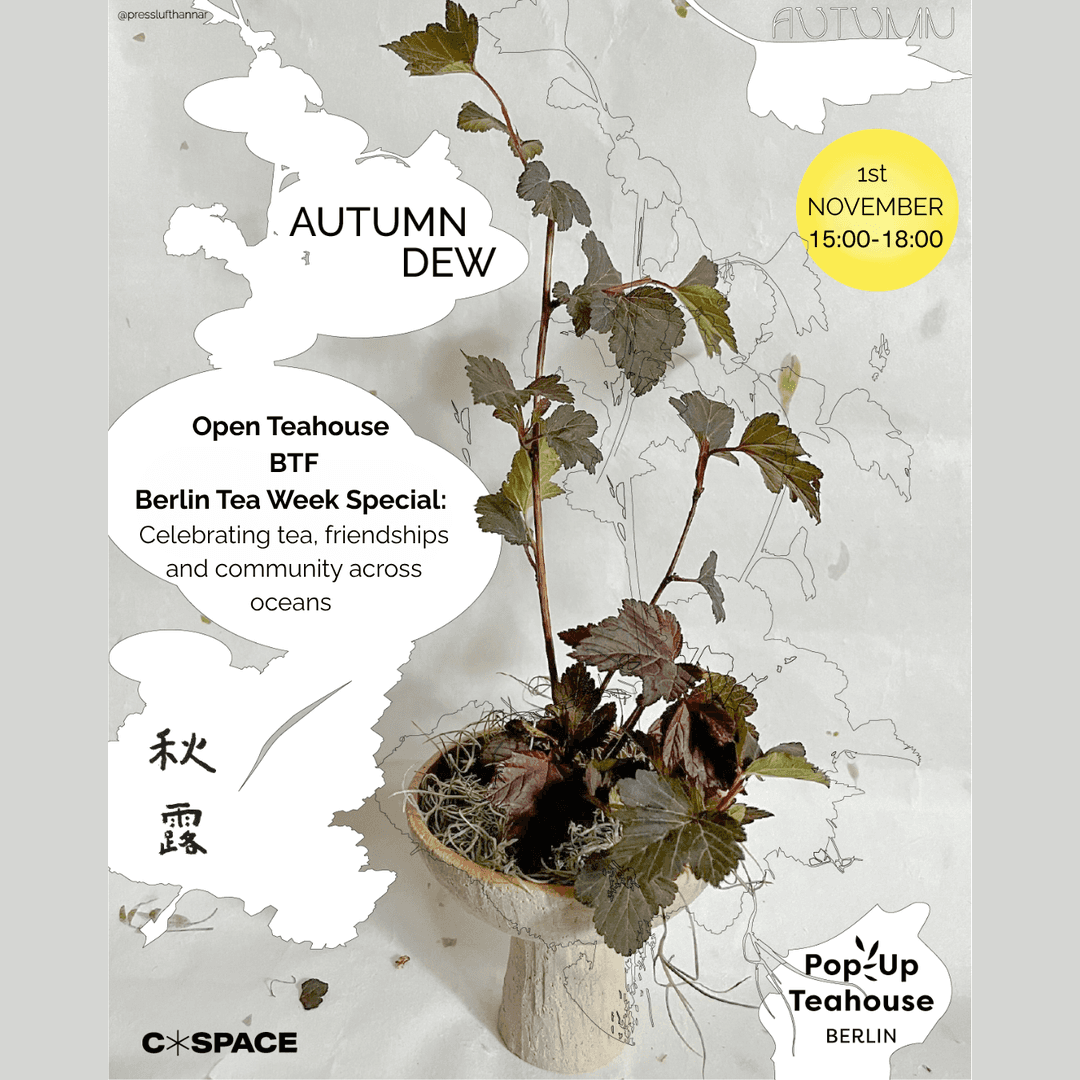 Berlin Tea Week special: Open Collective Teahouse