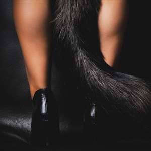 Le Chat Noir — August 15, 2026