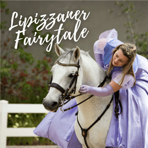 A Mistico Spring Spectacular with the South African Lipizzaners