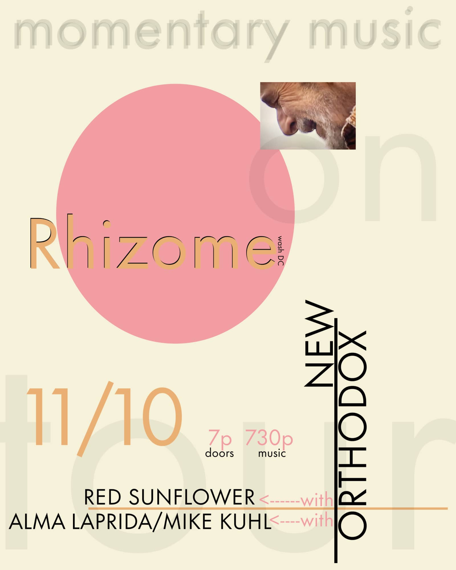 New Orthodox / Red Sunflower / Alma Laprida & Mike Kuhl