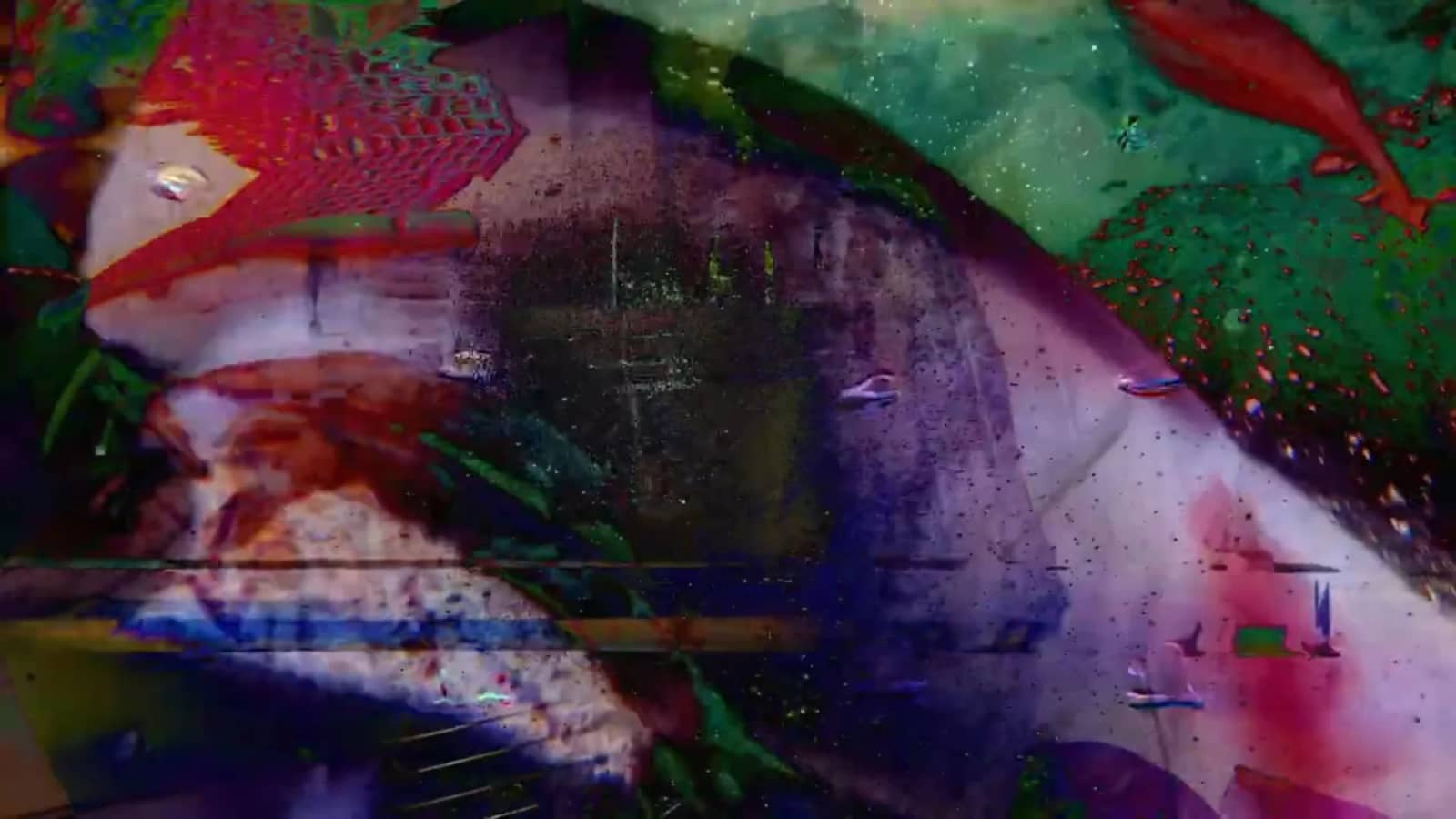 A Night of Moving Images: Short Films By Local Filmmakers