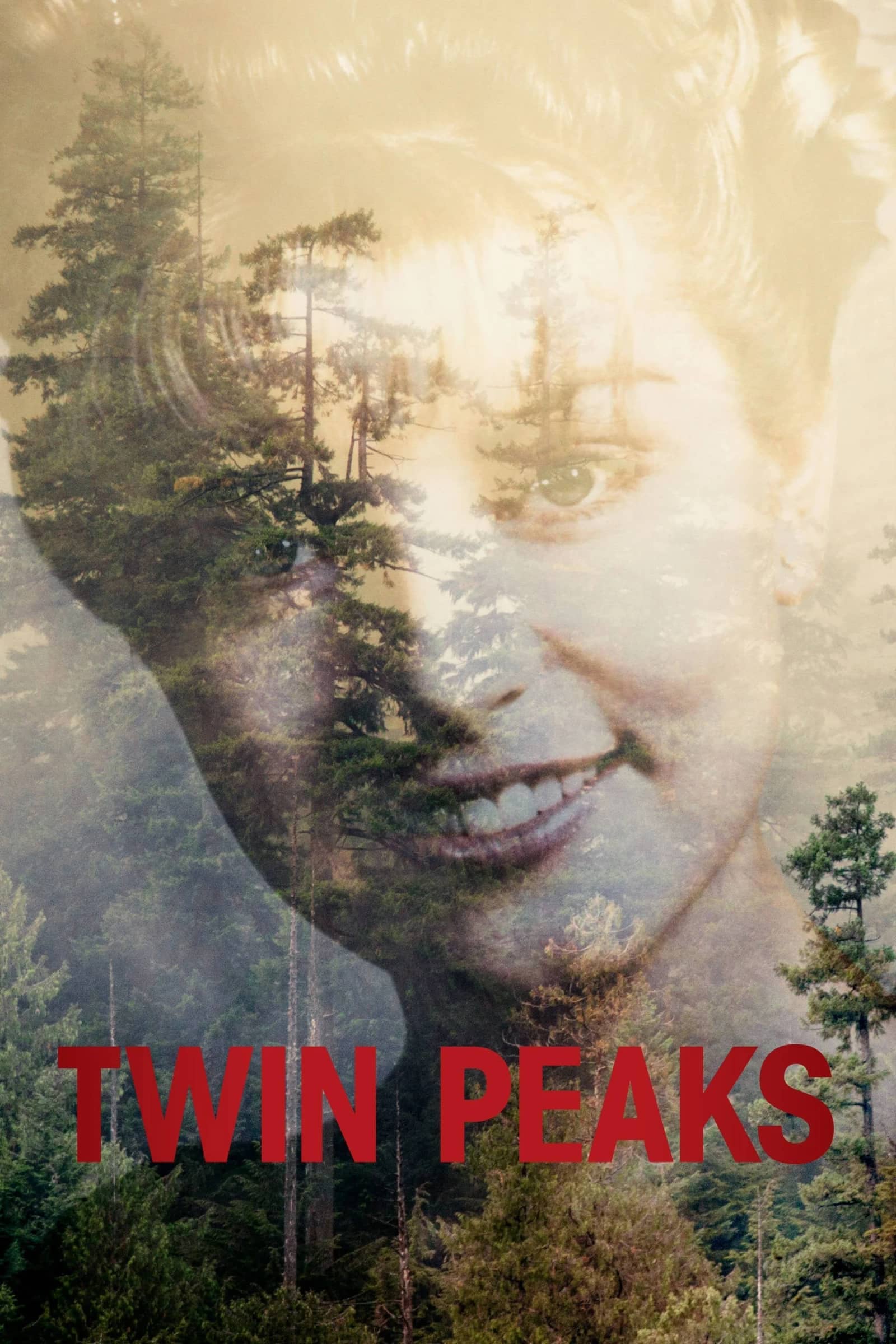 TWIN PEAKS FEST: Season 1, Ep. 4 & 5 (Rest in Pain/The One-Armed Man)