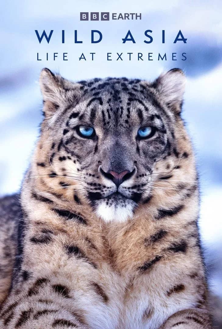 SF CRITTERFEST: Wild Asia: Life at Extremes (with Other Shorts)
