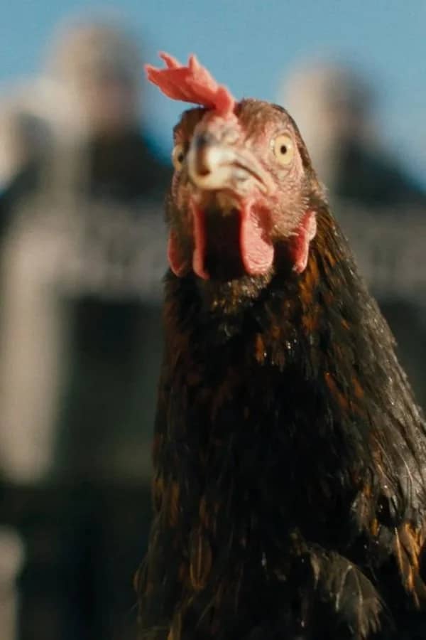 GREEN FILM FESTIVAL: Hen (Opening Night!)