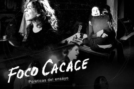 Pelícano. Repetición y diferencia