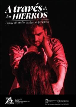 A través de los hierros