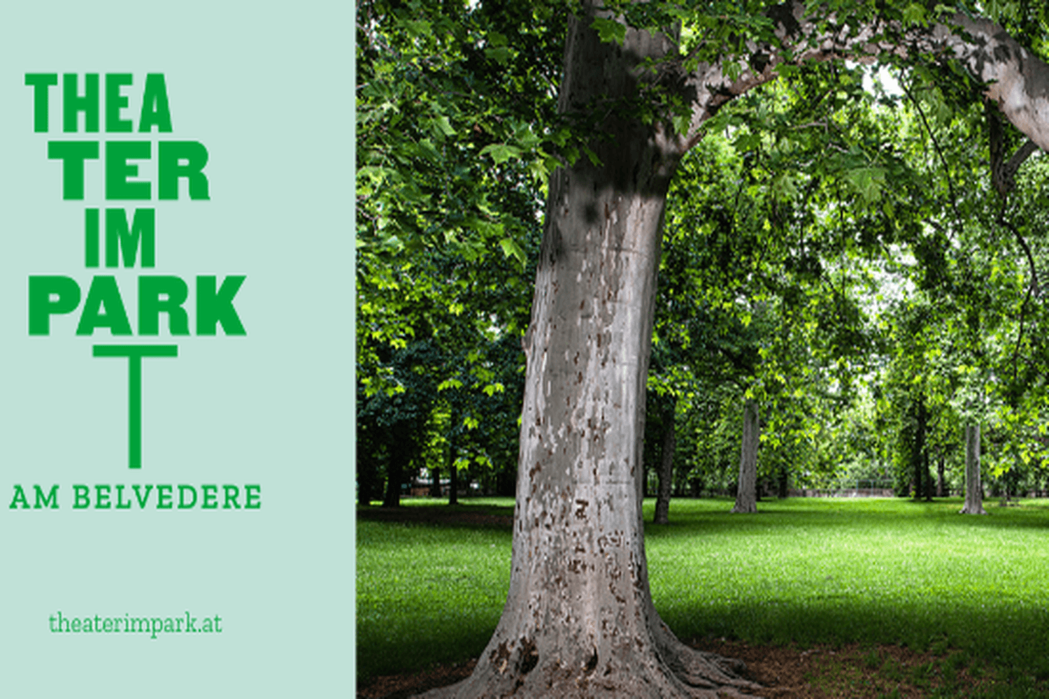 Theater im Park am Belvedere 2026