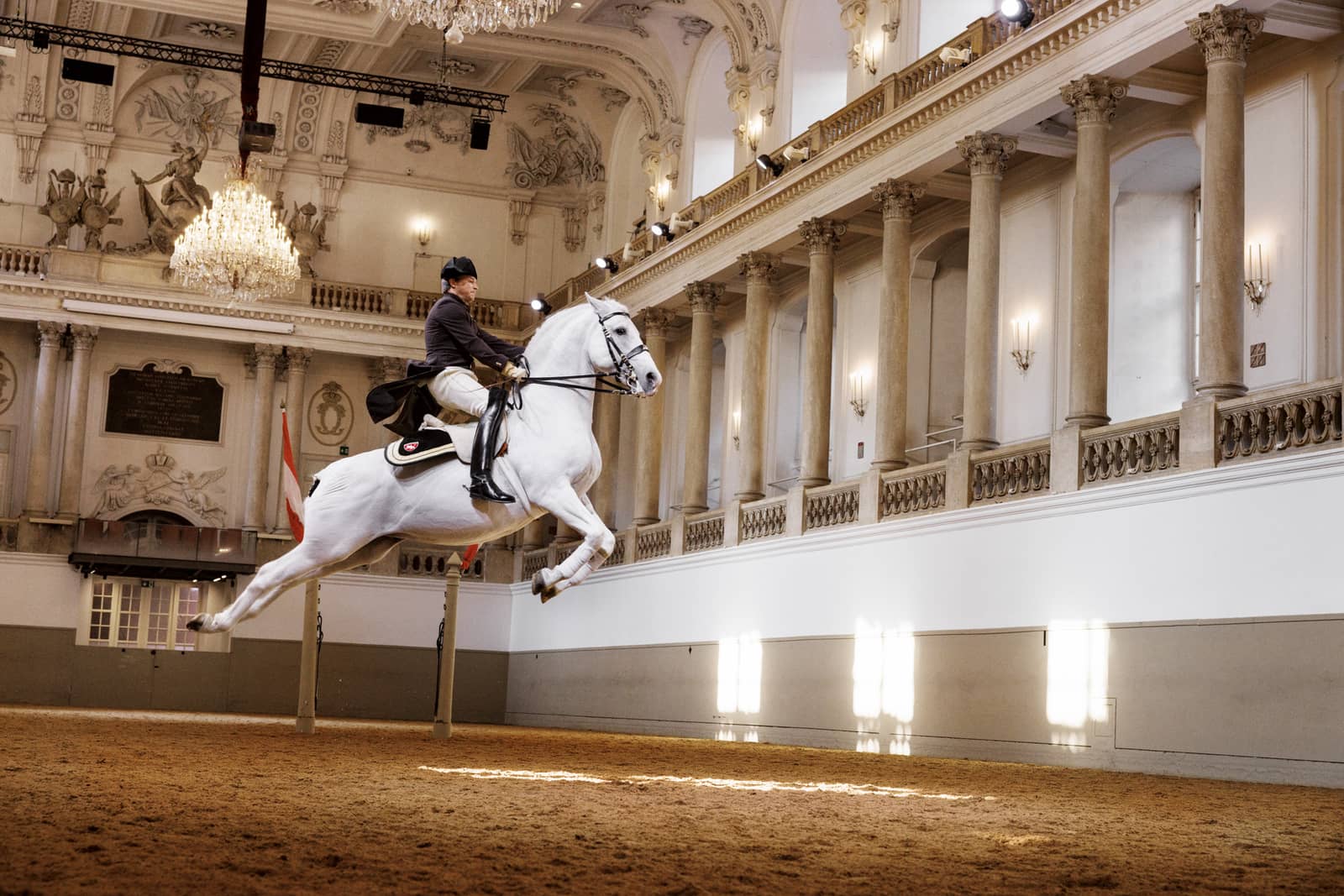 Performances by the Lipizzaners