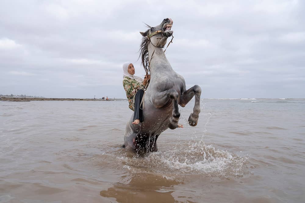 World Press Photo 2026