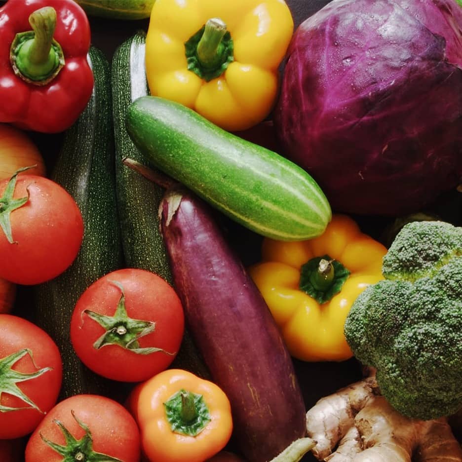 Vegetable gardening workshop