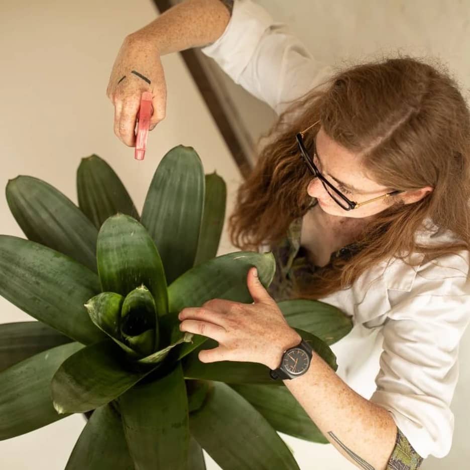 Indoor plant care 101 workshop
