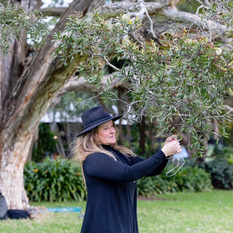 Mindfulness in the Garden