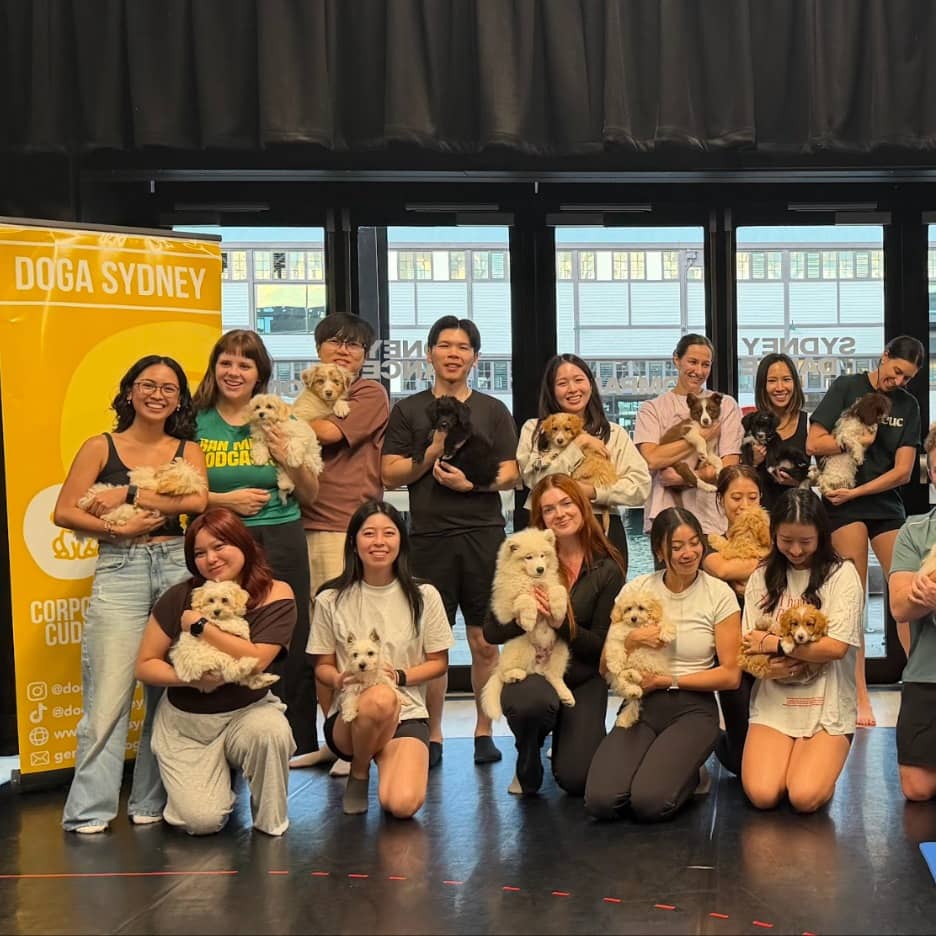 Puppy Yoga Sydney - Doga Sydney