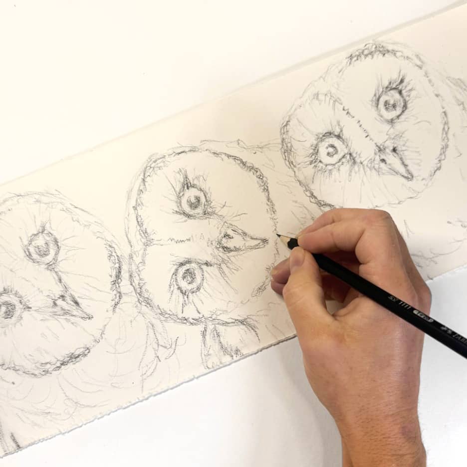 Afternoon Wildlife Drawing Classes – Wednesdays