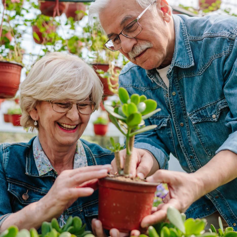 Gardening Gurus