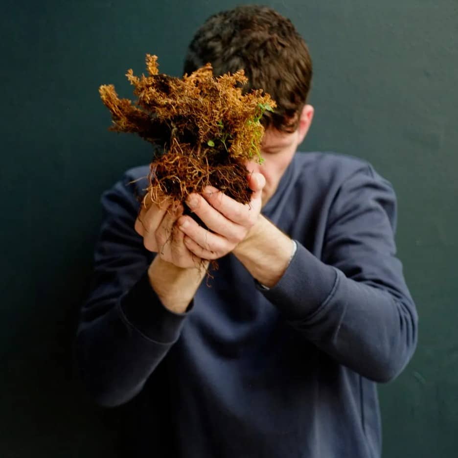 Distillation performance by Luke Casserly