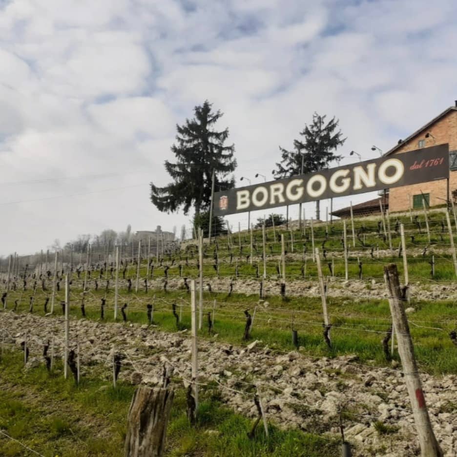 Borgogno Barolo Wine Dinner: 2021 Crus