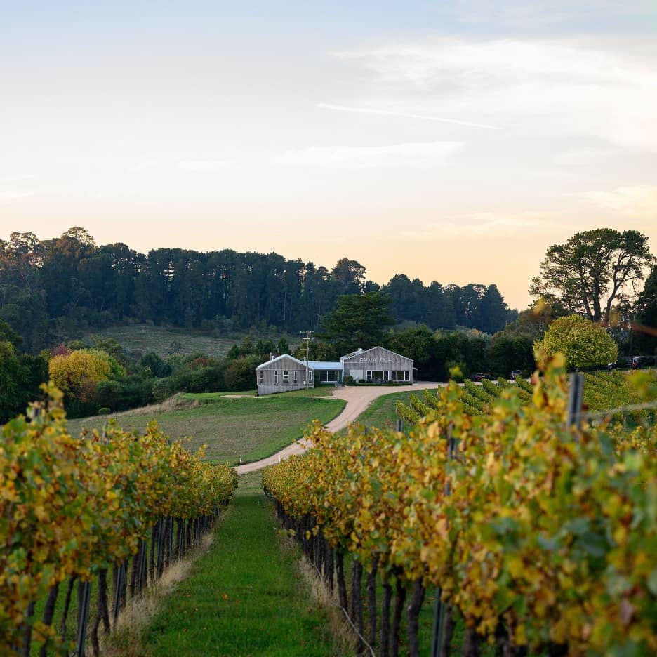 Harbour & Vine - A Wine Pairing Dinner