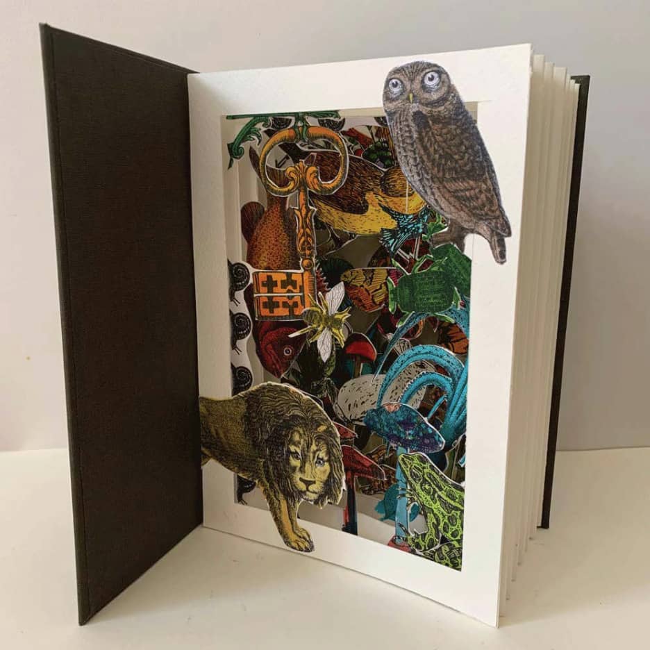 Fold, Stitch, Bind: The Book We Make Together