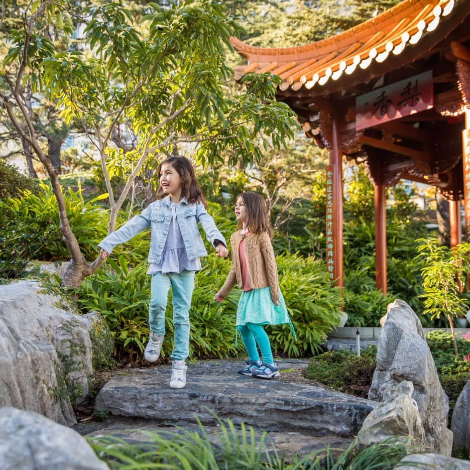 Build your own Chinese Garden