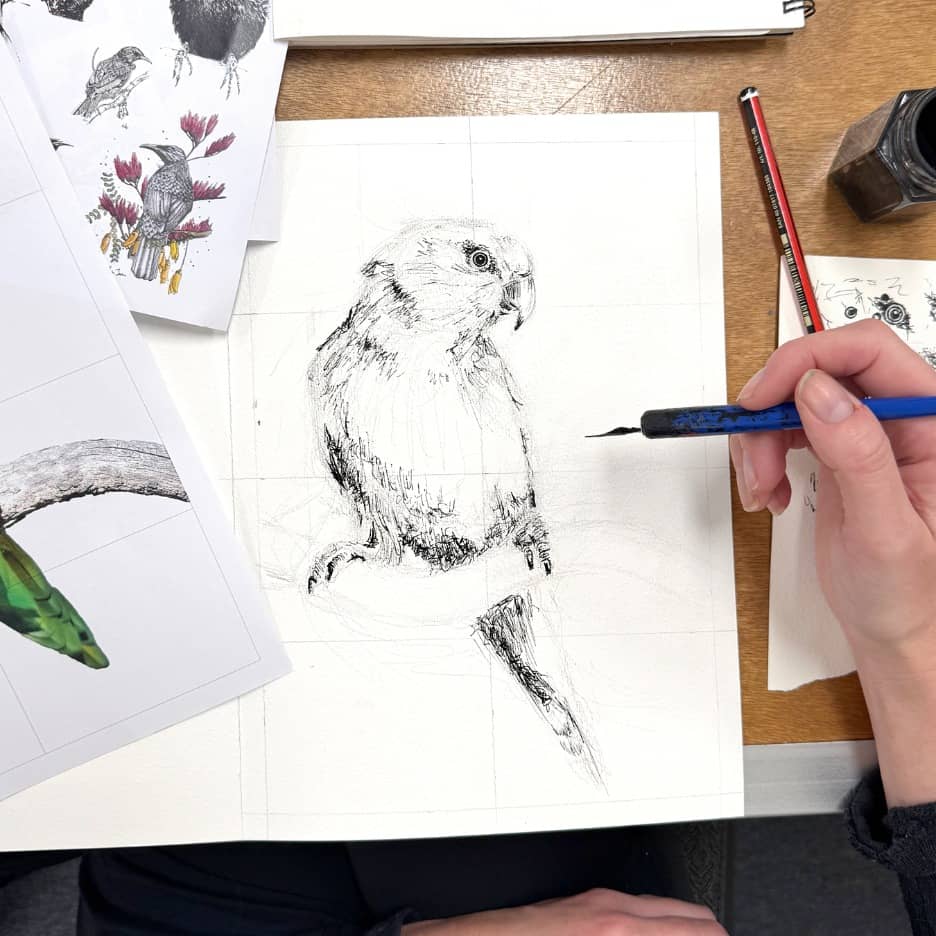 Evening Wildlife Drawing Classes - Wednesdays