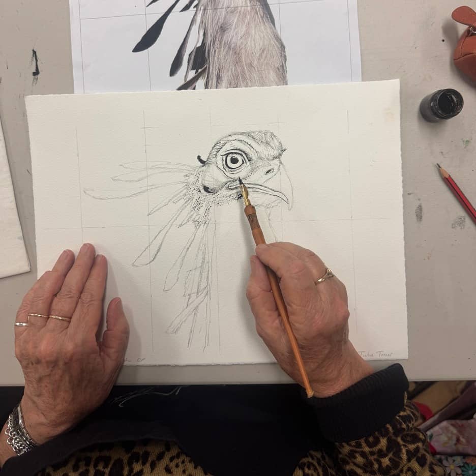 Afternoon Wildlife Drawing Classes – Wednesdays