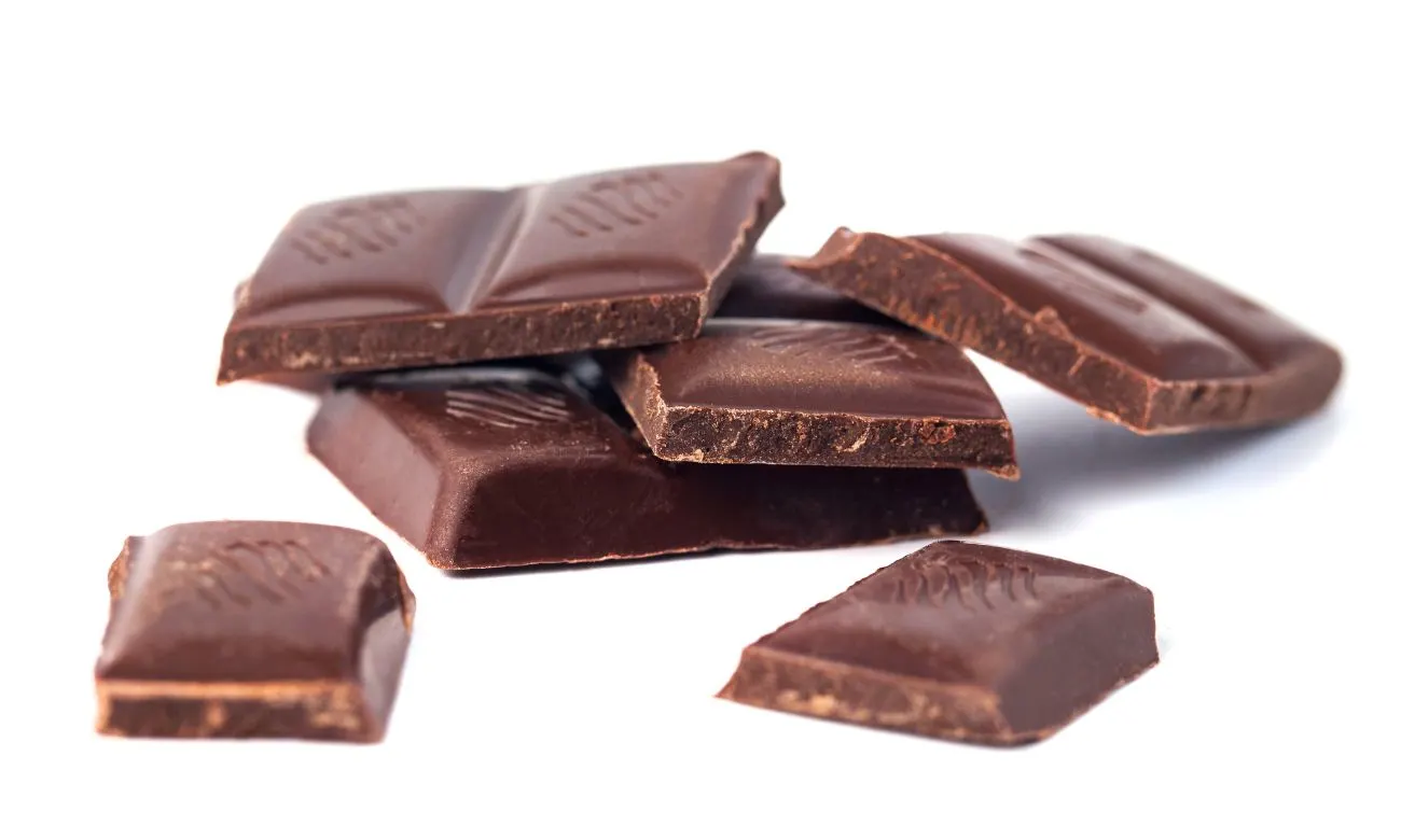 Conférence – À la découverte du chocolat : histoire, saveurs et dégustation