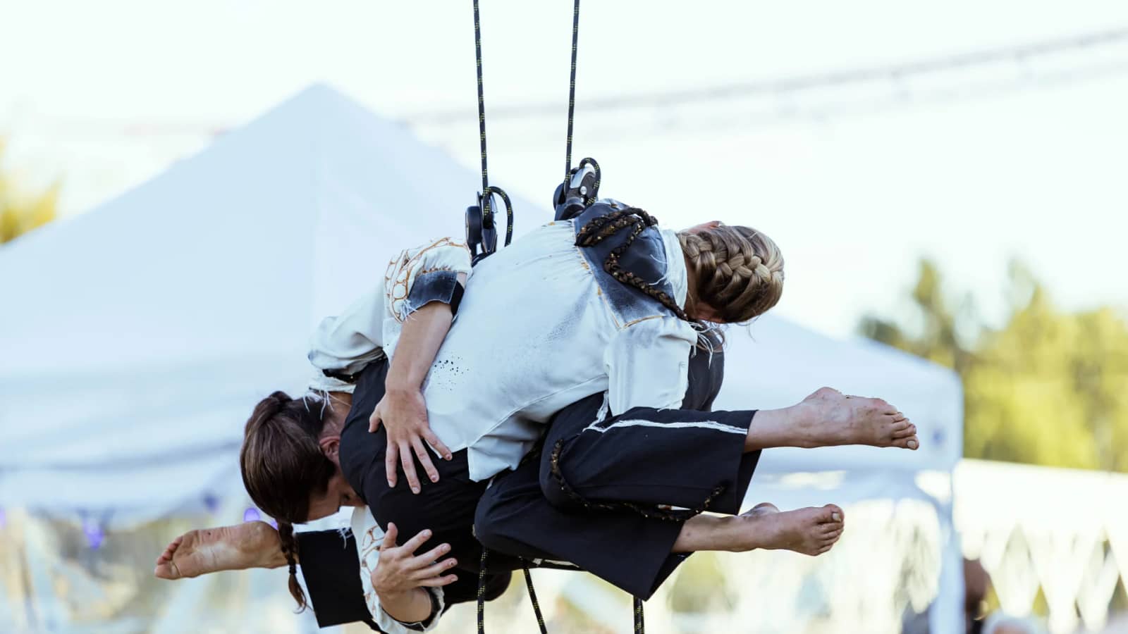 Mouvement Vertical - Enracinement