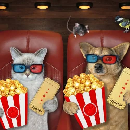 On s'amuse après l'école : Ciné-jeunes : Hitpig le film