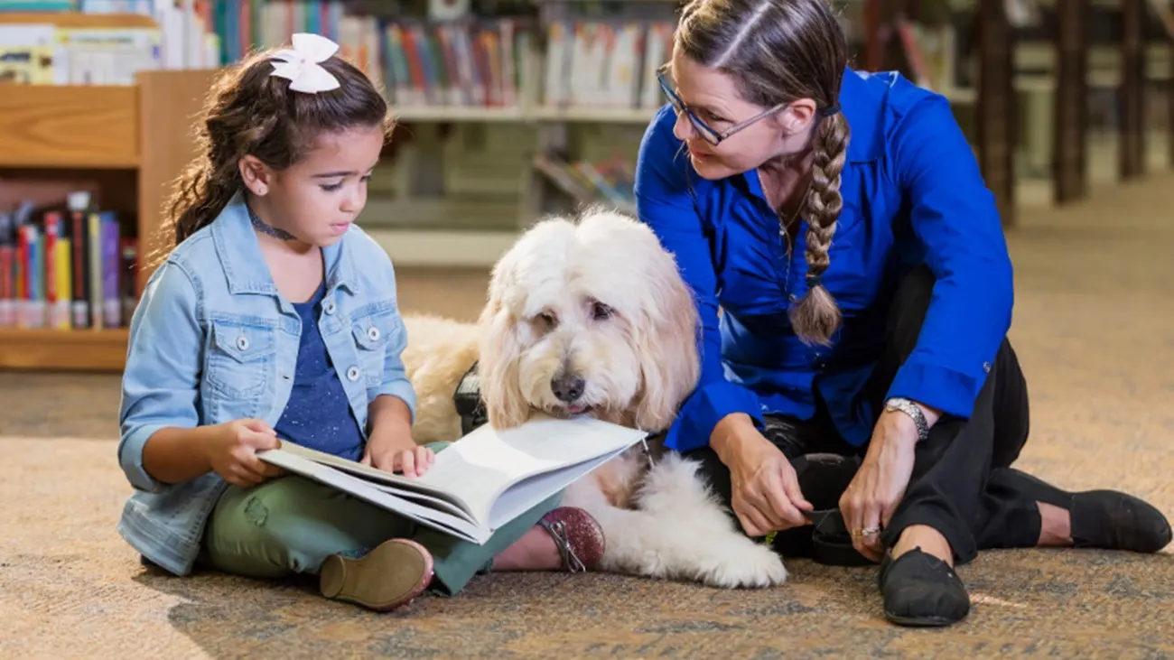 Zoothérapie : lire avec un chien!