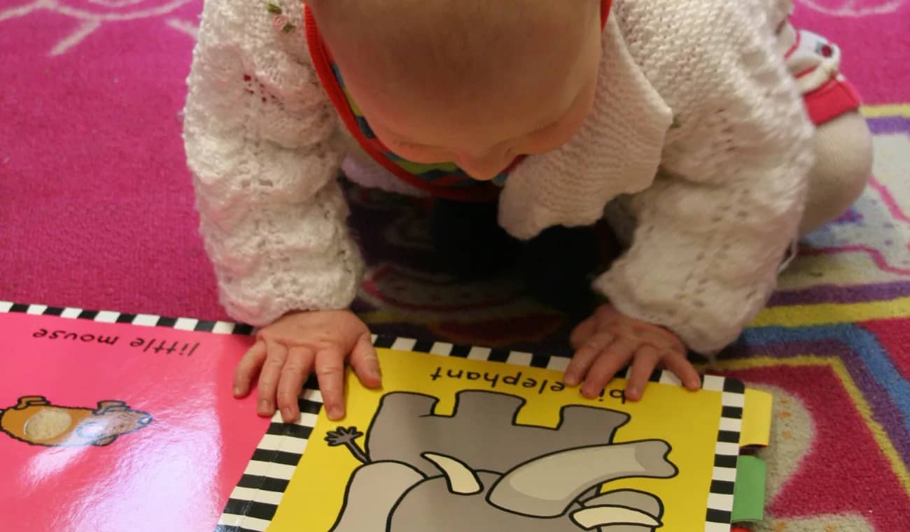 Matinée des tout-petits (0 à 3 ans)