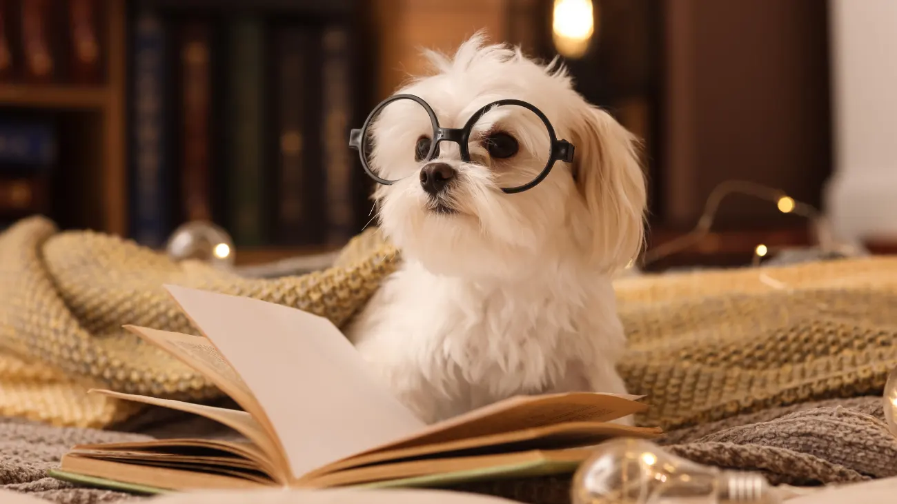 Zoo-lecture
